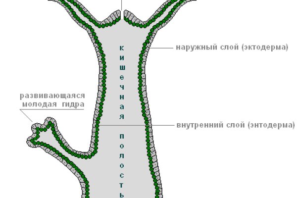 Кракен сайт ссылка kr2web in