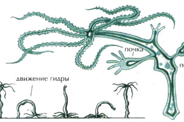 Кракен рабочая ссылка